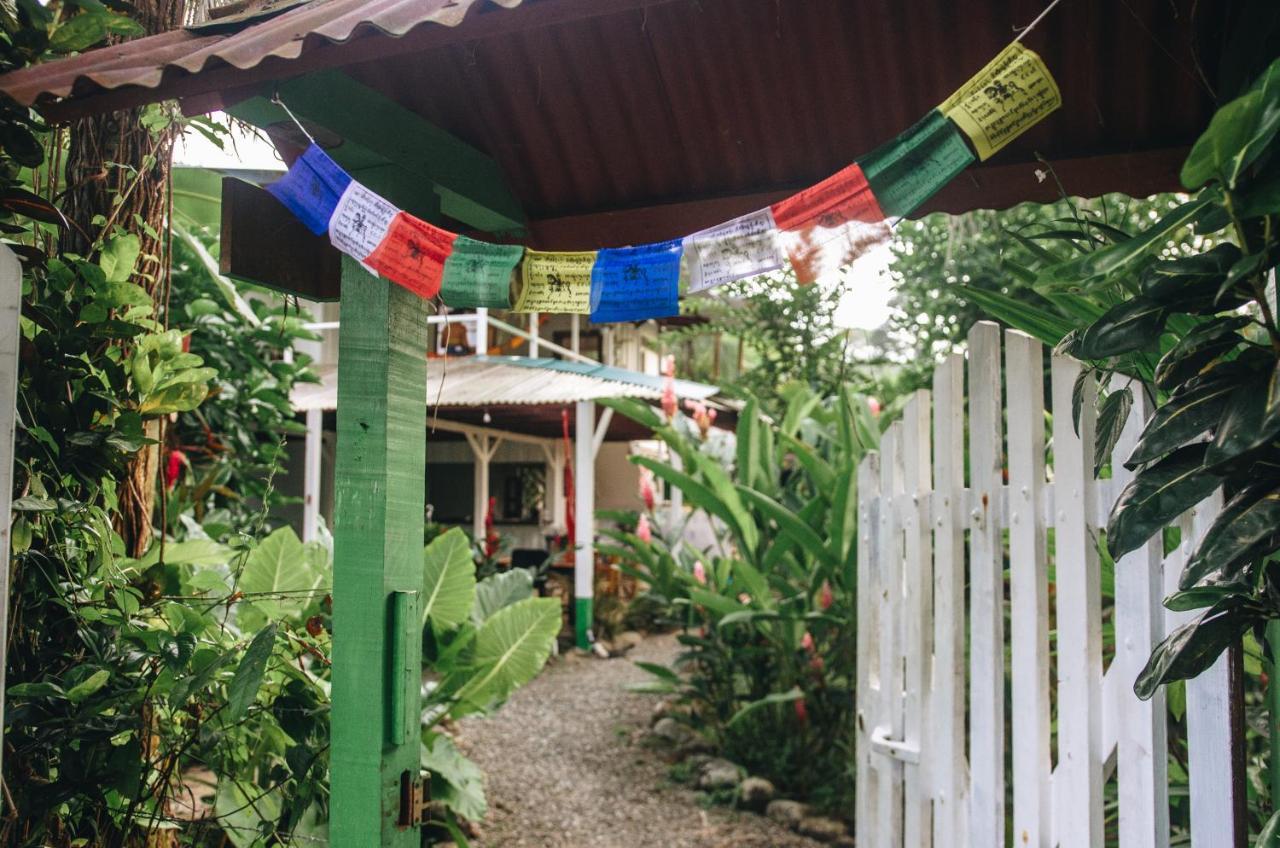 Casa Bohoe Puerto Viejo de Talamanca Eksteriør billede